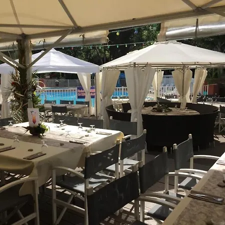 4 Etoiles - Piscine - Ccbfibg Carqueiranne
