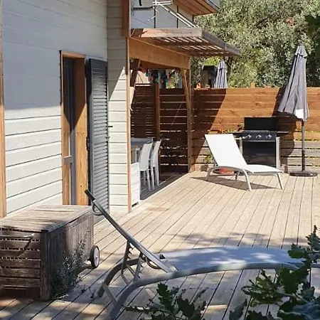 4 Etoiles - Piscine - Ccbfibg Carqueiranne